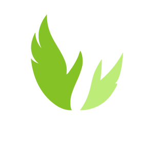Galaxy for Peace & integrity Initiative